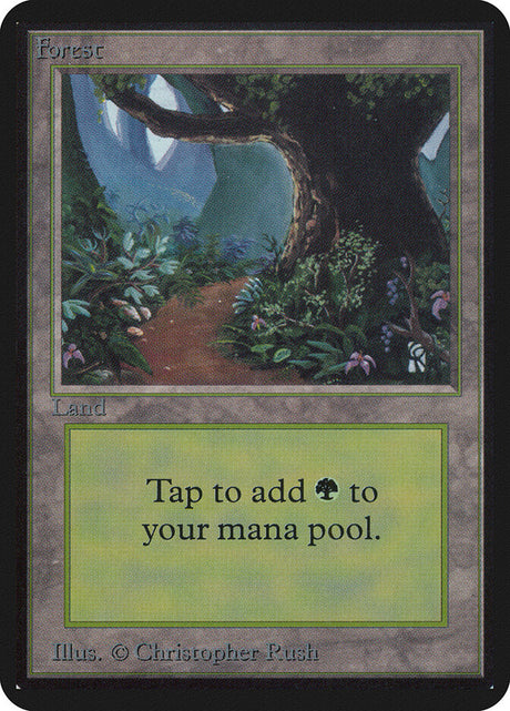Forest (295) - Limited Edition Alpha (LEA)
