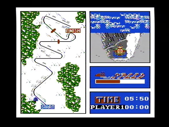 Winter Games - Nintendo (NES)