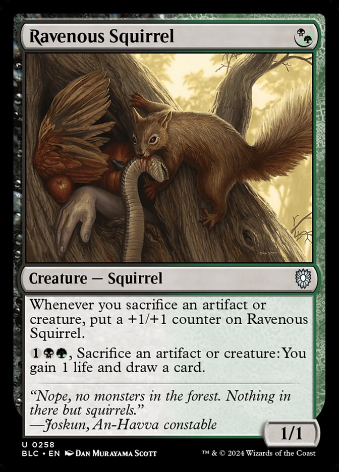 Ravenous Squirrel (258) - Bloomburrow Commander (BLC)