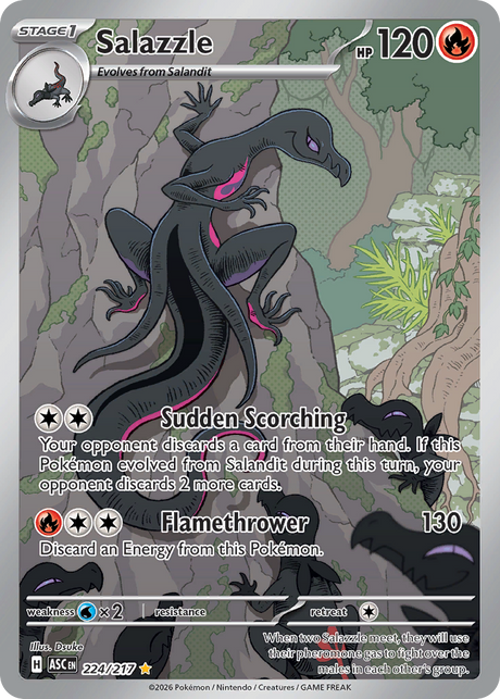 Salazzle (224/217) - [Illustration Rare] Ascended Heroes (ASC)