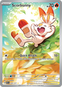 Scorbunny (225/217) - [Illustration Rare] Ascended Heroes (ASC)