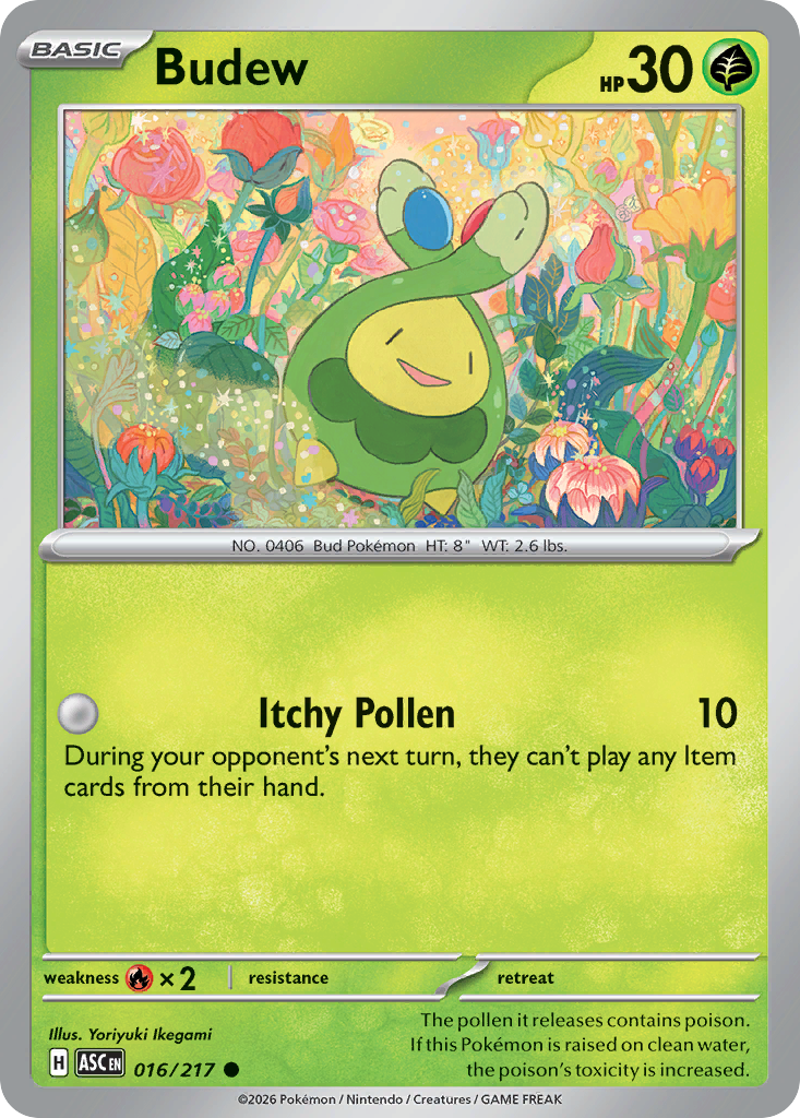 Budew (16/217) - Ascended Heroes (ASC)
