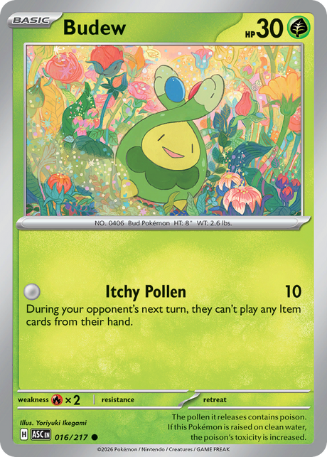 Budew (16/217) - Ascended Heroes (ASC)