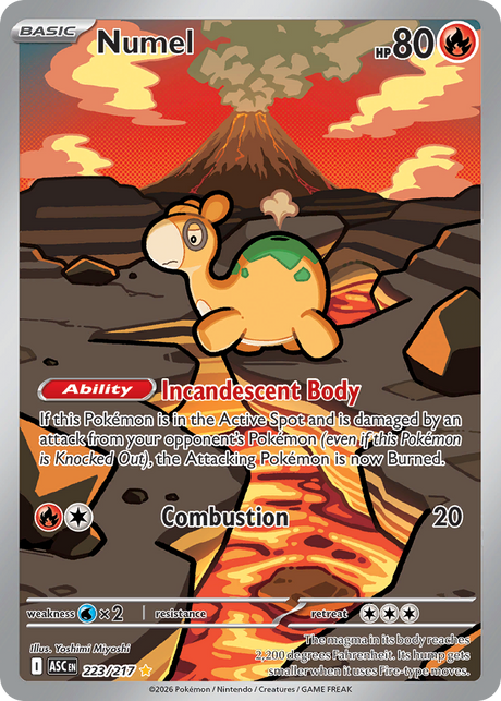 Numel (223/217) - [Illustration Rare] Ascended Heroes (ASC)