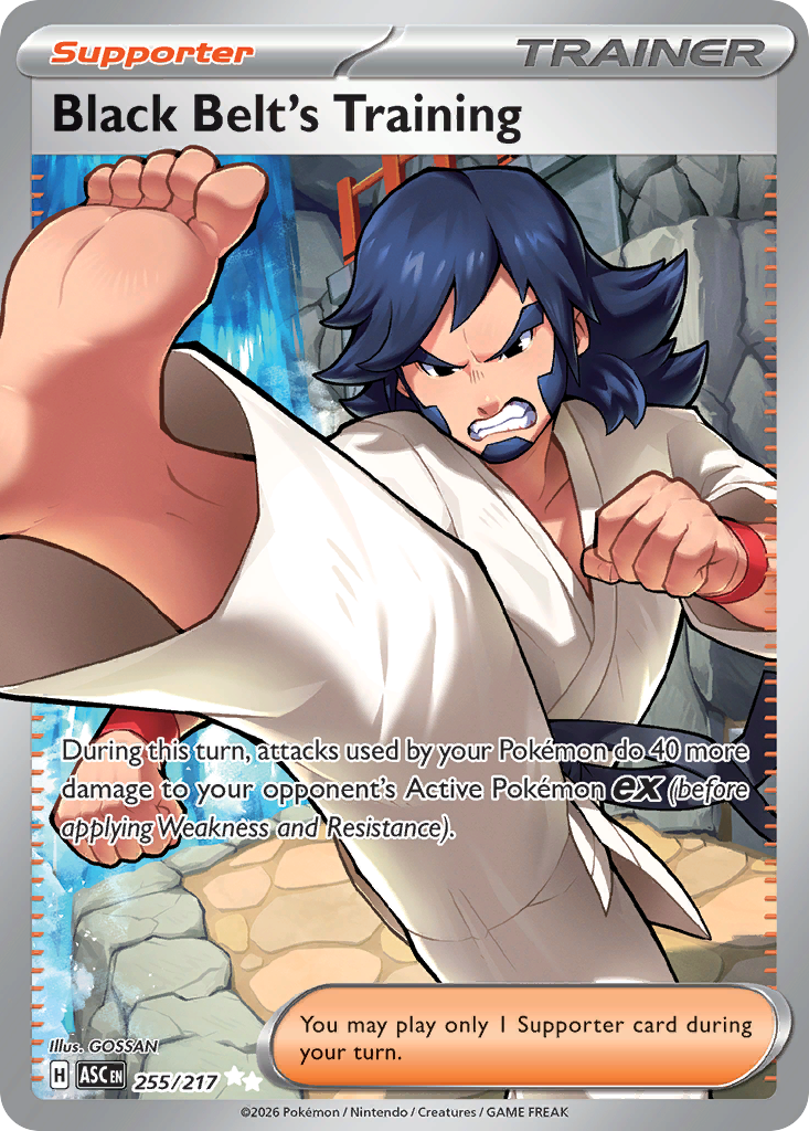 Black Belt's Training (255/217) - [Full Art] Ascended Heroes (ASC)