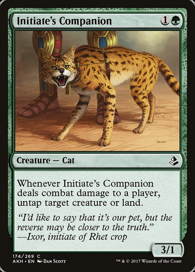 Initiate's Companion - Amonkhet (AKH)
