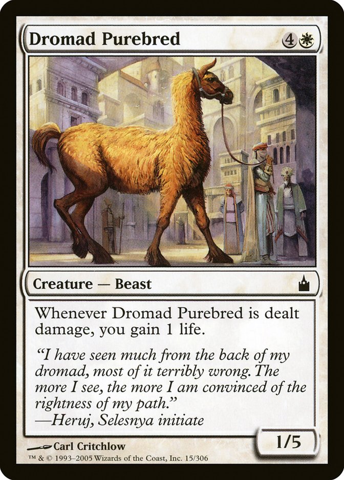 Dromad Purebred - [Foil] Ravnica: City of Guilds (RAV)