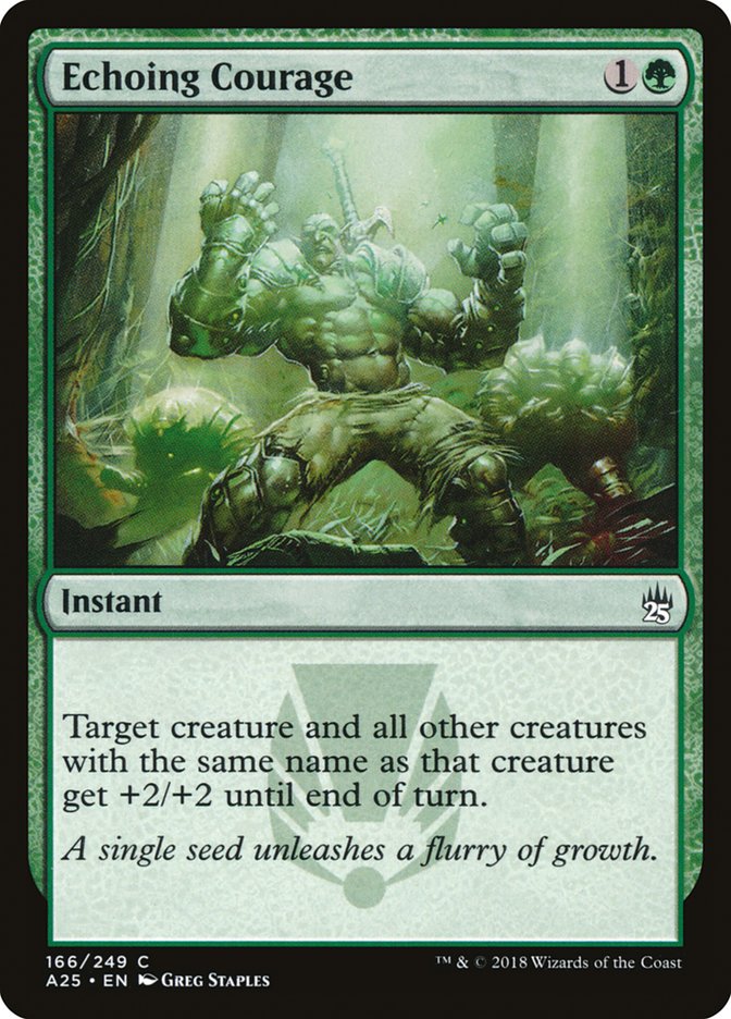 Echoing Courage - Masters 25 (A25)