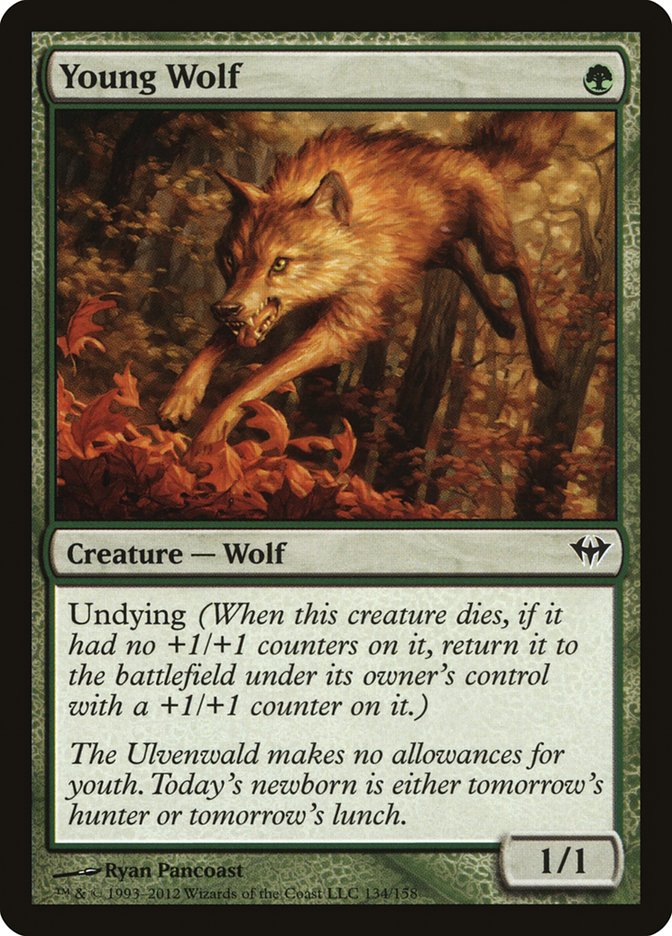Young Wolf - [Foil] Dark Ascension (DKA)