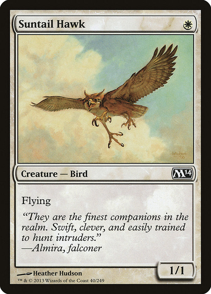 Suntail Hawk - [Foil] Magic 2014 (M14)