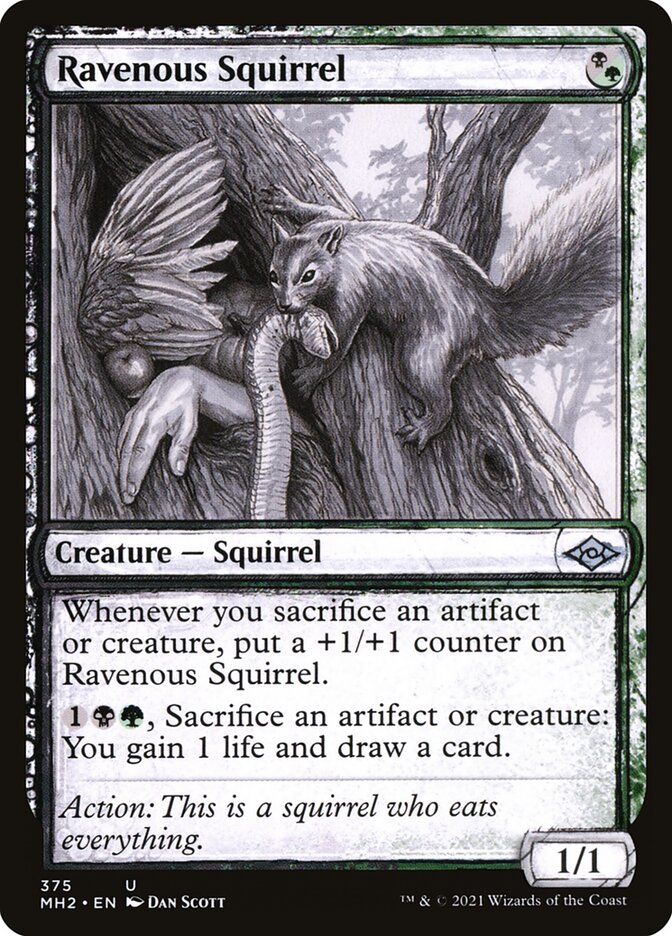 Ravenous Squirrel - [Foil, Showcase] Modern Horizons 2 (MH2)