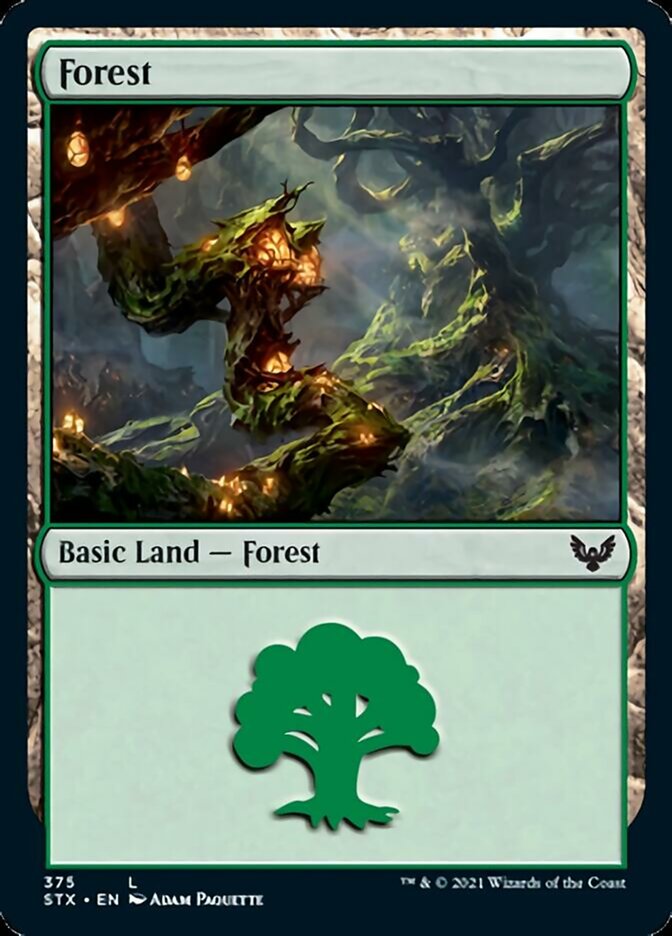 Forest - [Foil] Strixhaven: School of Mages (STX)