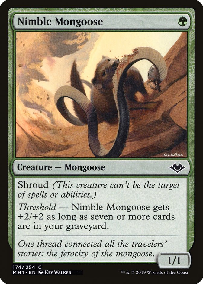 Nimble Mongoose - [Foil] Modern Horizons (MH1)