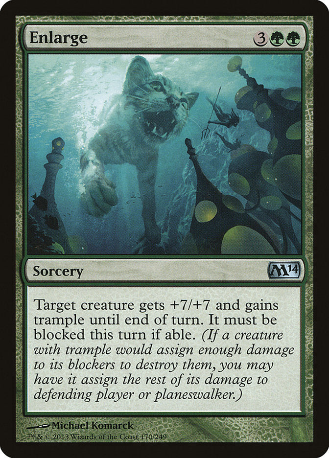 Enlarge - Magic 2014 (M14)