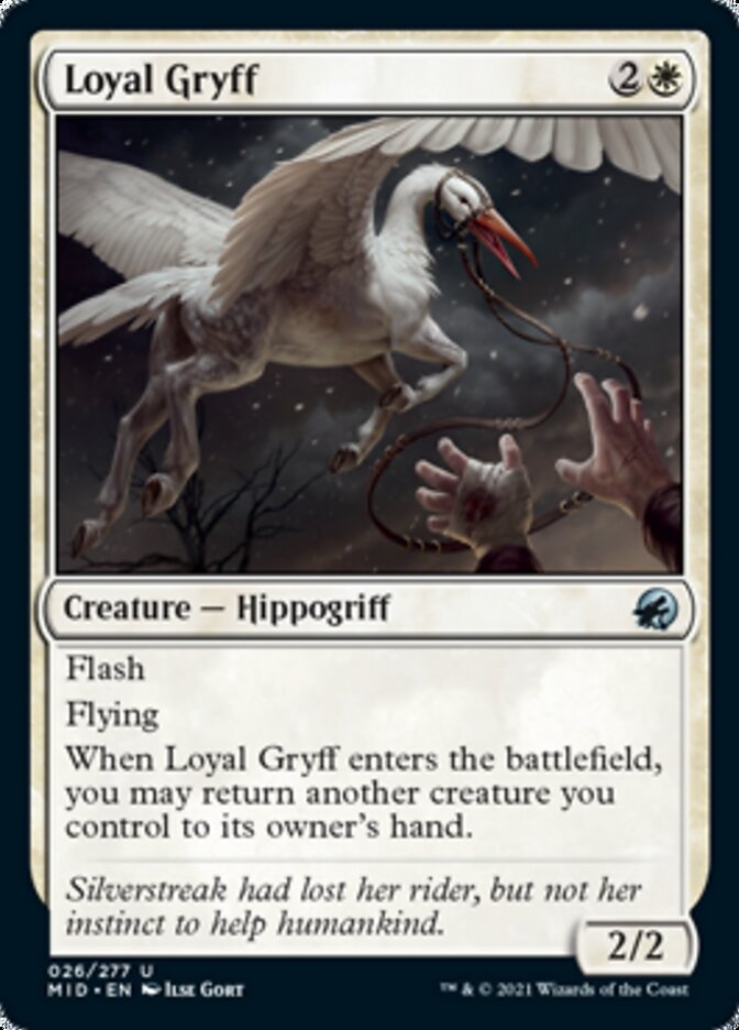 Loyal Gryff - Innistrad: Midnight Hunt (MID)