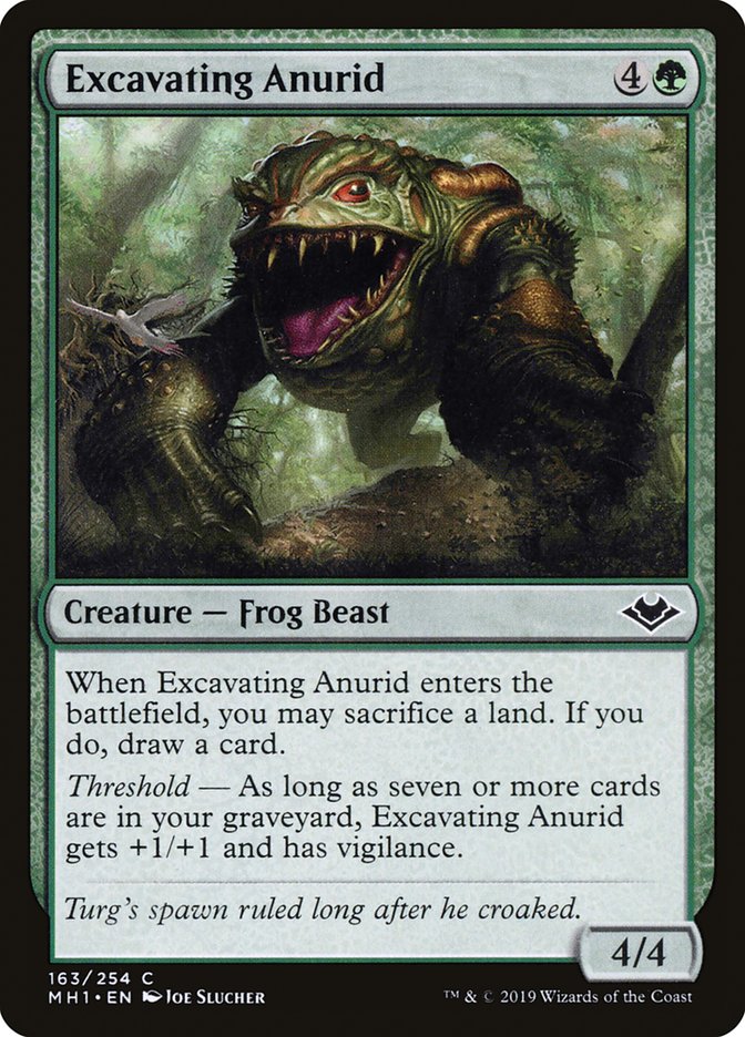 Excavating Anurid - Modern Horizons (MH1)