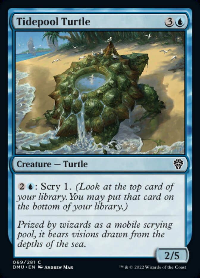 Tidepool Turtle - Dominaria United (DMU)